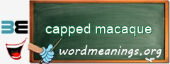 WordMeaning blackboard for capped macaque